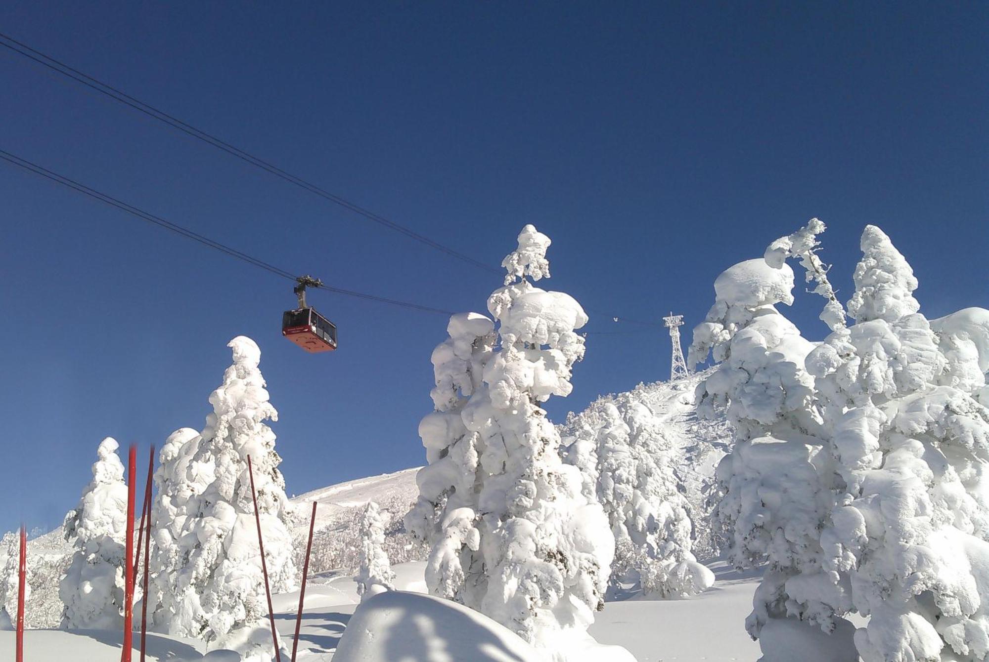 Higashikawa Asahidake Onsen Hotel Bear Monte מראה חיצוני תמונה